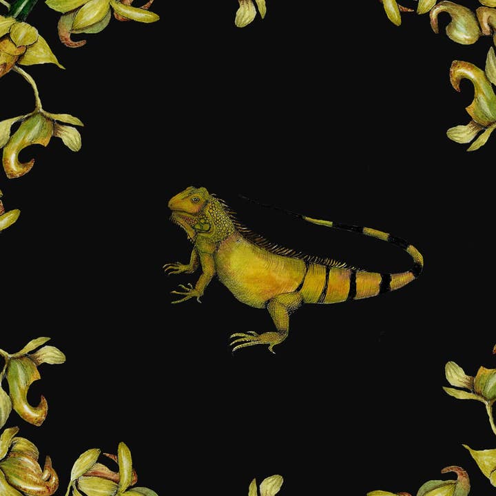 SENA CIFUENTES - Wholesale Wall Accent - ROUND ALIA 33