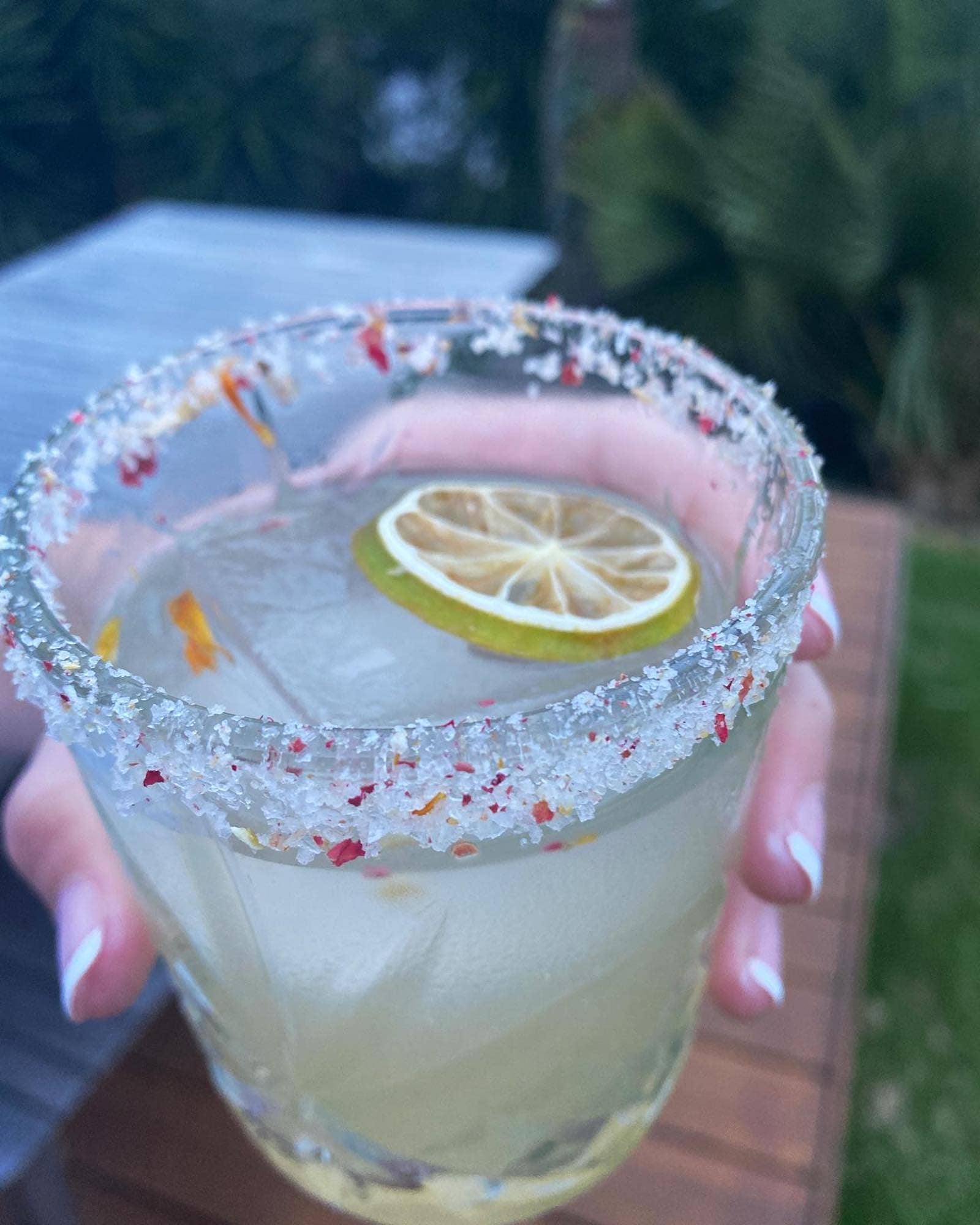 Cocktail Candy - Vendita all'ingrosso Frutta secca/disidratata - Fette di lime disidratato7