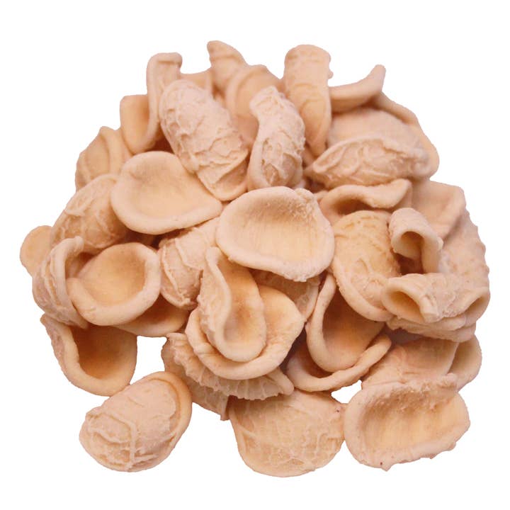 M5 Corporation - Wholesale Pasta - Organic Orecchiette "Trulli & Sassi" - 14.11oz (400gm)1