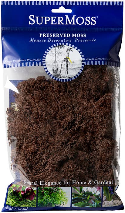 SuperMoss – Großhandel Pflanzen – SuperMoss Rentiermoos konserviert, 57 g Beutel7