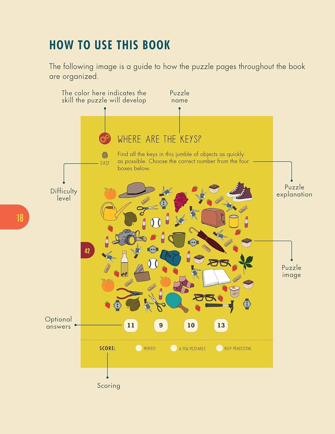 Fox Chapel Publishing - Wholesale Coloring & Activity Book - Adult - Brilliant BrainTeaser Puzzles for Adults-Games to Stay Sharp2