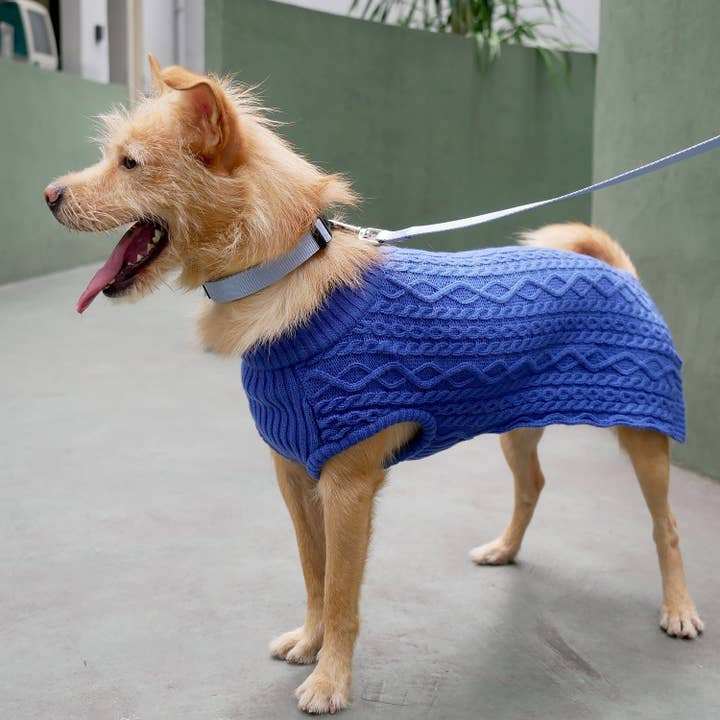 Blueberry Pet - Wholesale Pet Sweater - Dog - 🧶Warm, Lightweight Wool-Blend Cable-Knit Dog Sweater4