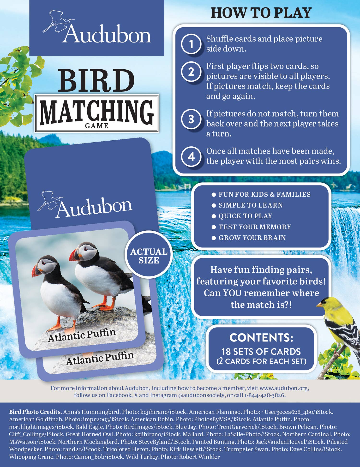 Masterpieces Puzzles - Wholesale Card Game - Audubon - Bird Matching Game2