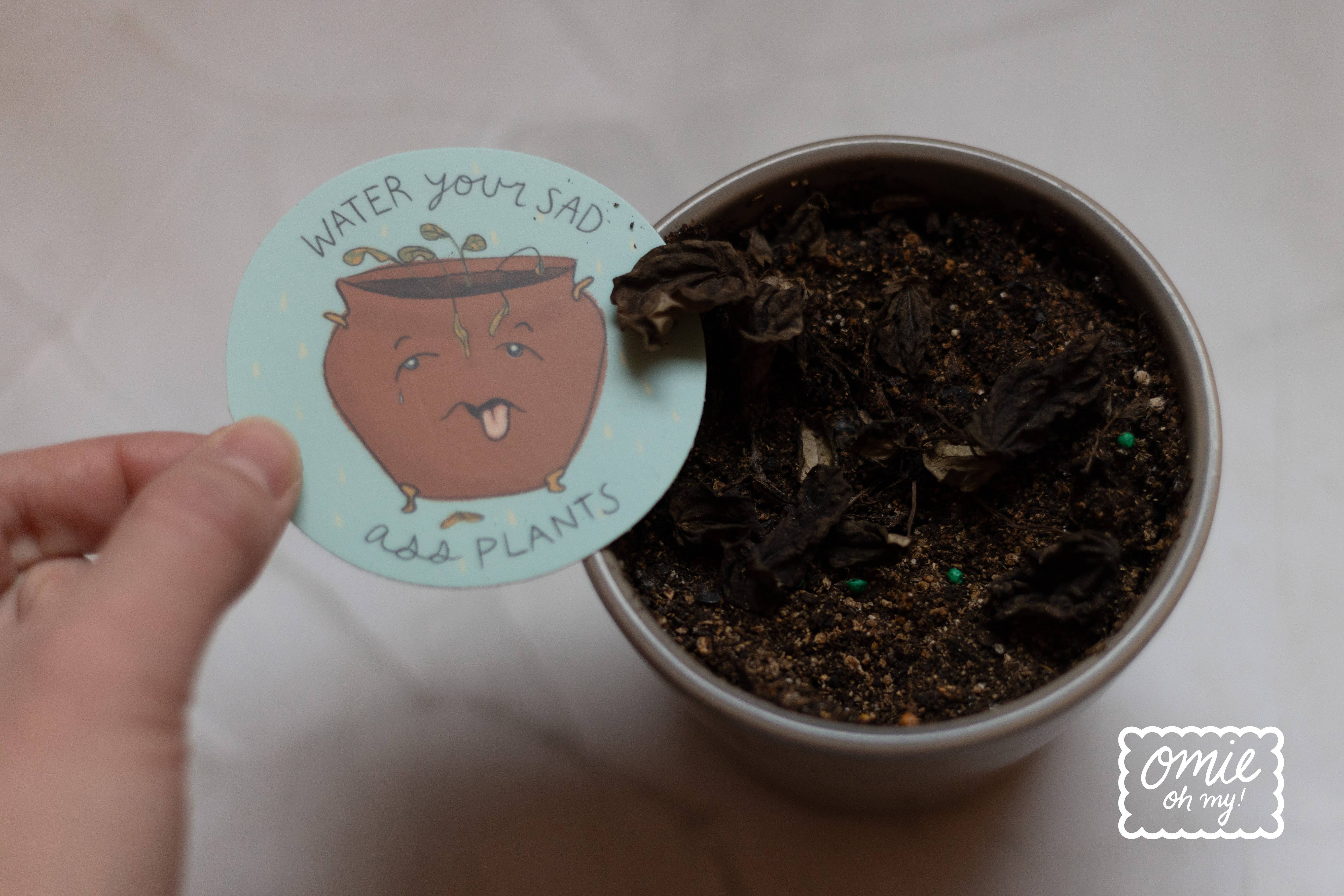 Omie Oh My! - Wholesale Sticker - Water Your Sad A** Plants Vinyl Sticker3