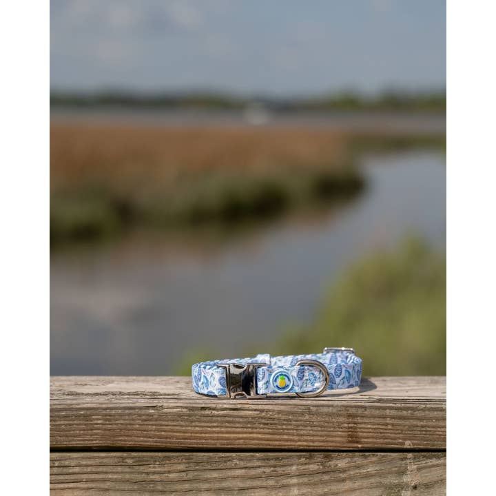 Covey Collection - Wholesale Pet Collar - Dog - Blue Oyster Dog Collar6