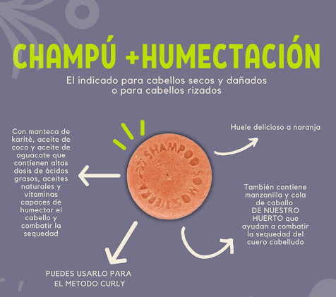 Somos Tierra - Wholesale Shampoo Puck/Solid Shampoo - Shampoo +MOISTURIZATION2