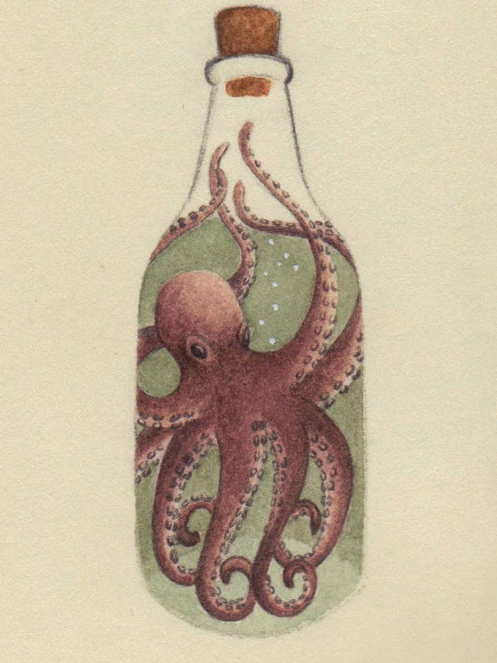 The Kraken Fine Art Print for wholesale by Little Bear Illustration