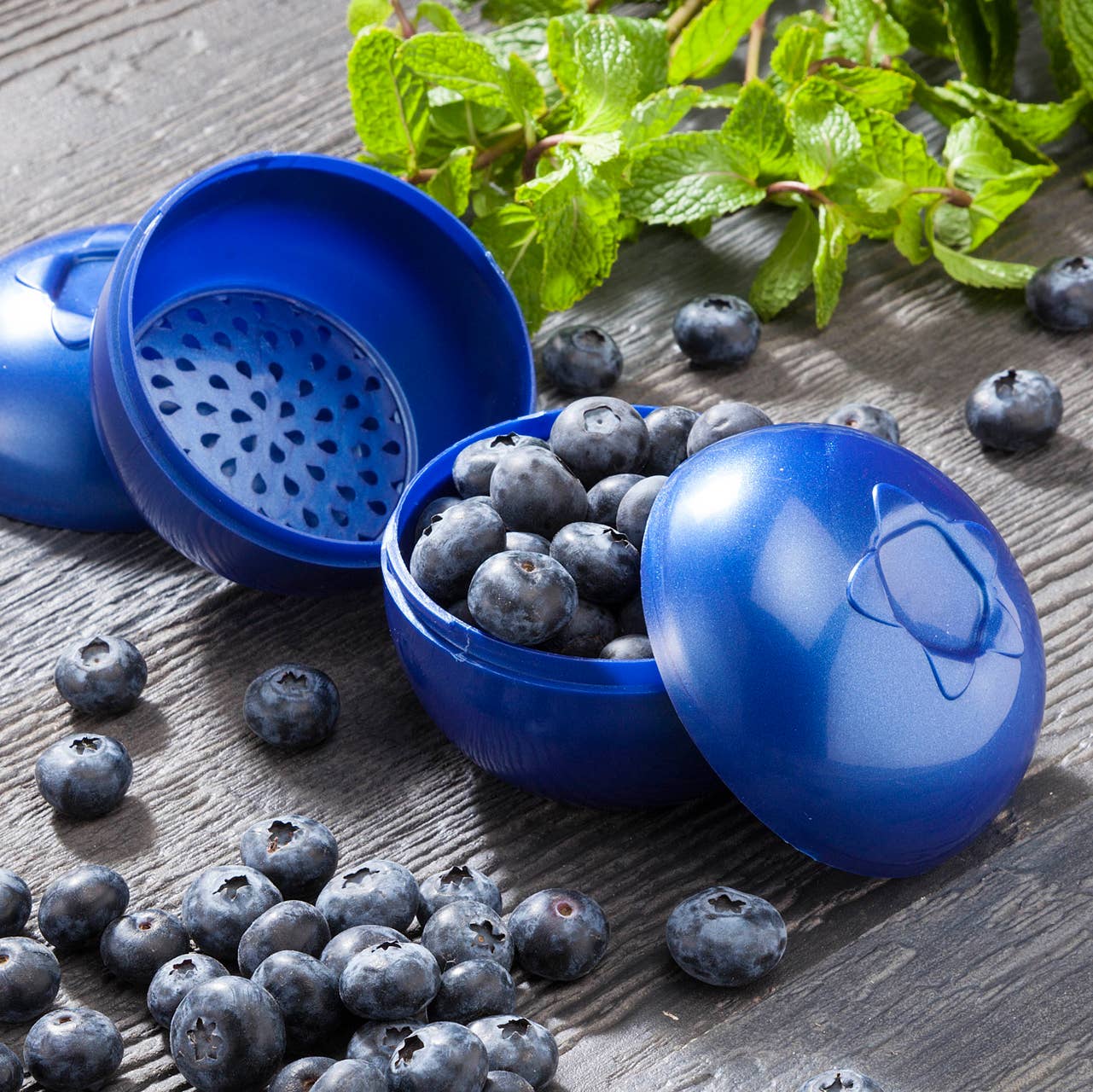 Gourmac - Wholesale Food Storage Container - Blueberries To-Go Counter Display1