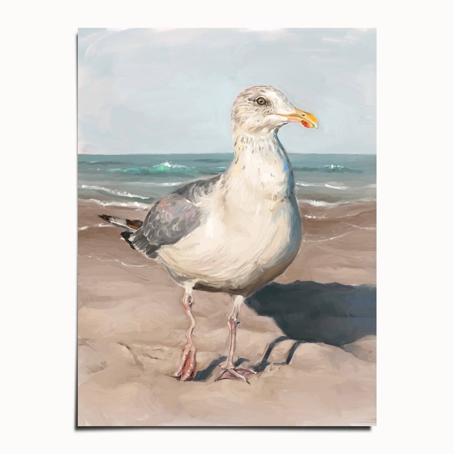 The Ugly Cat Studio - Wholesale Art Print - Seagull with Wobbly Leg Fine Art Print3