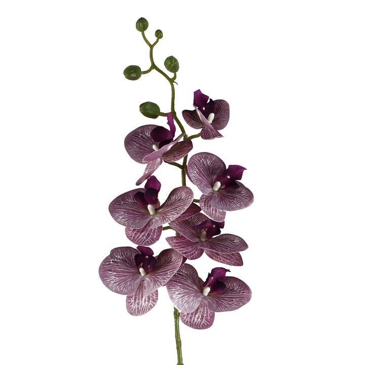 Leaf Design UK LTD - Wholesale Artificial flowers - Artificial Flowers Phalaenopsis Orchid Purple Stem 100cm