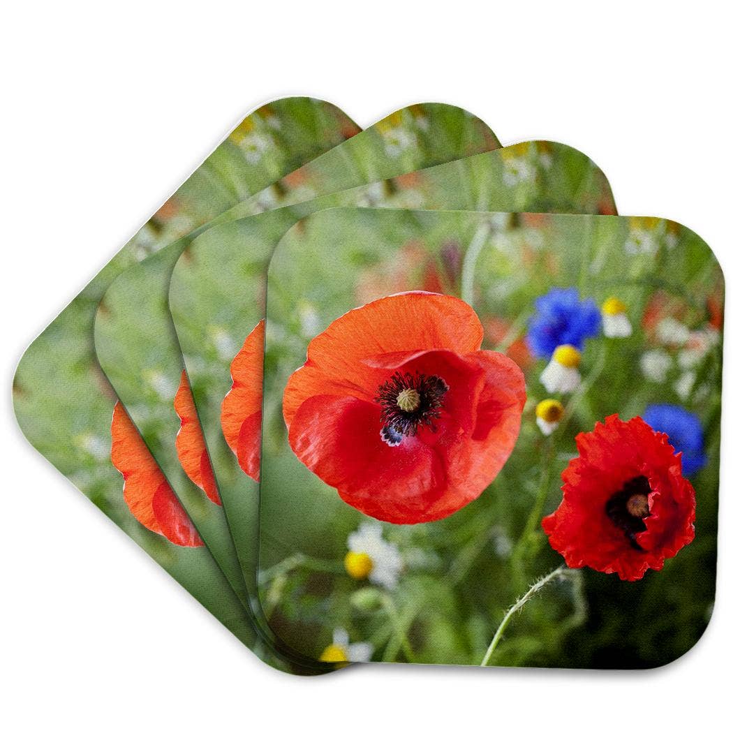 3dRose - Wholesale Coasters - 3dRose, Image of Poppy Flower Close Up, Coaster7
