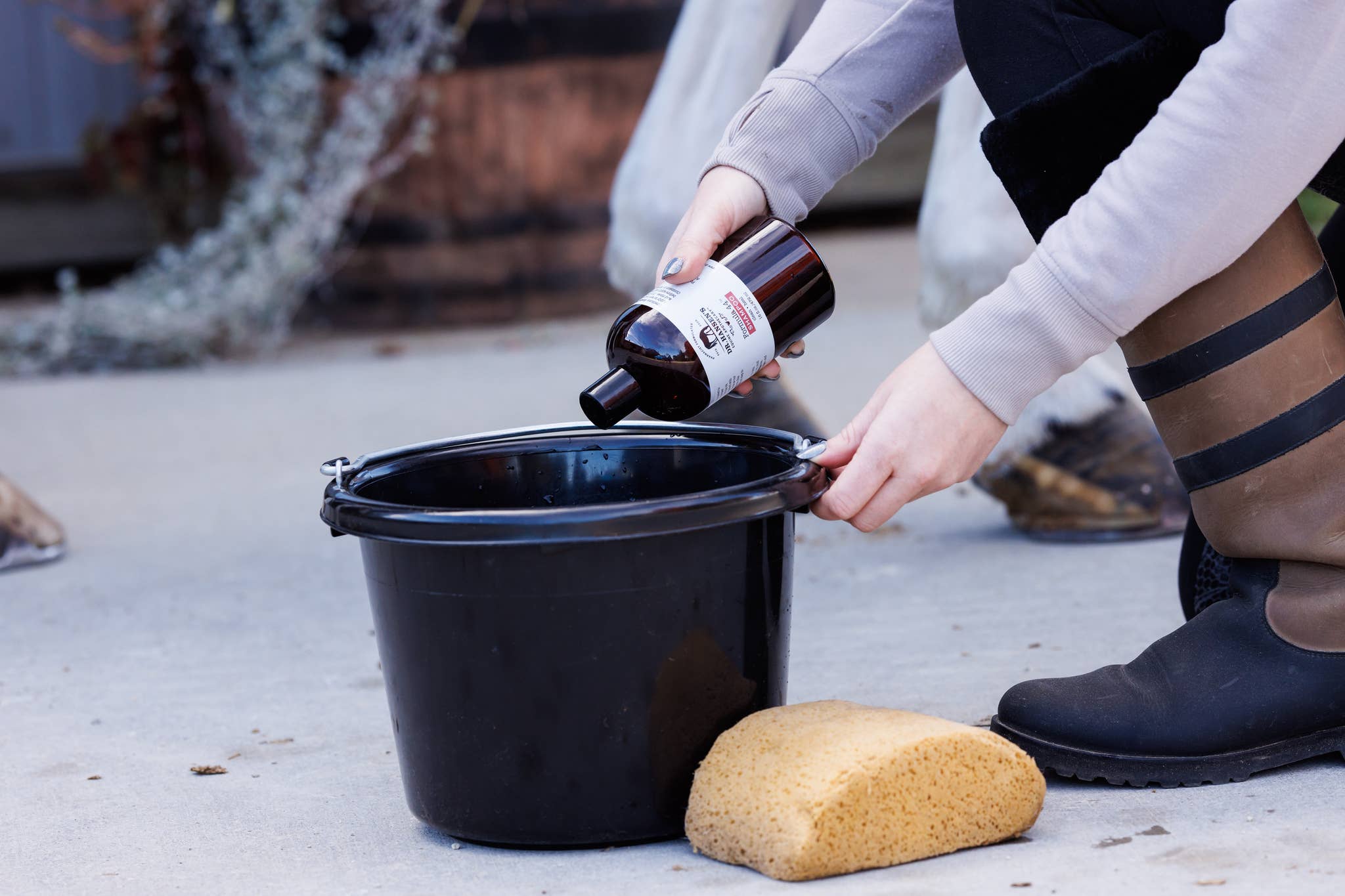 Dr. Hansen's Equine Apothecary - Vente Après-shampoing/produit de soin pour cheval - Shampooing Formula 442