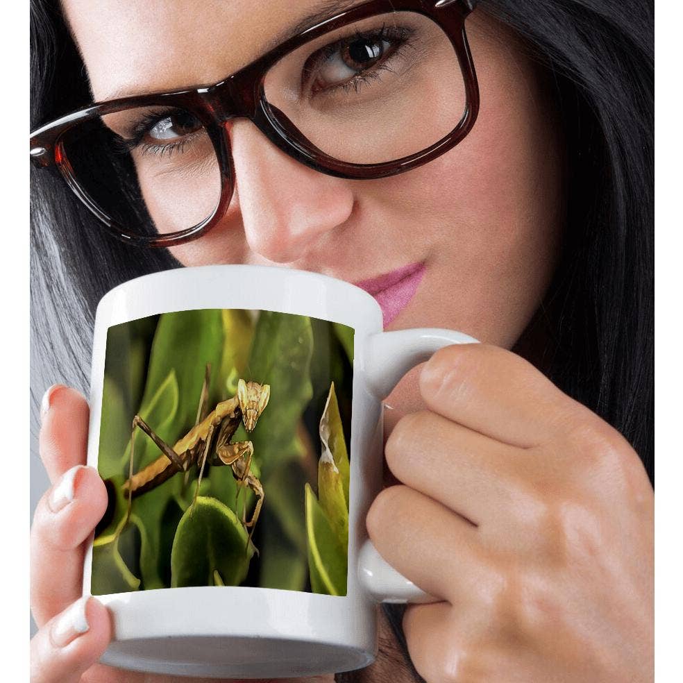 3dRose – wholesale Coffee mug – 3dRose, Praying Mantis On Green Garden Background, Mug9