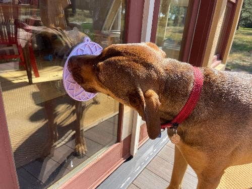 SodaPup Dog Toys - Wholesale Pet Food Mat - Dog - Lotus eMat Enrichment Lick Mat With Suction Cups12