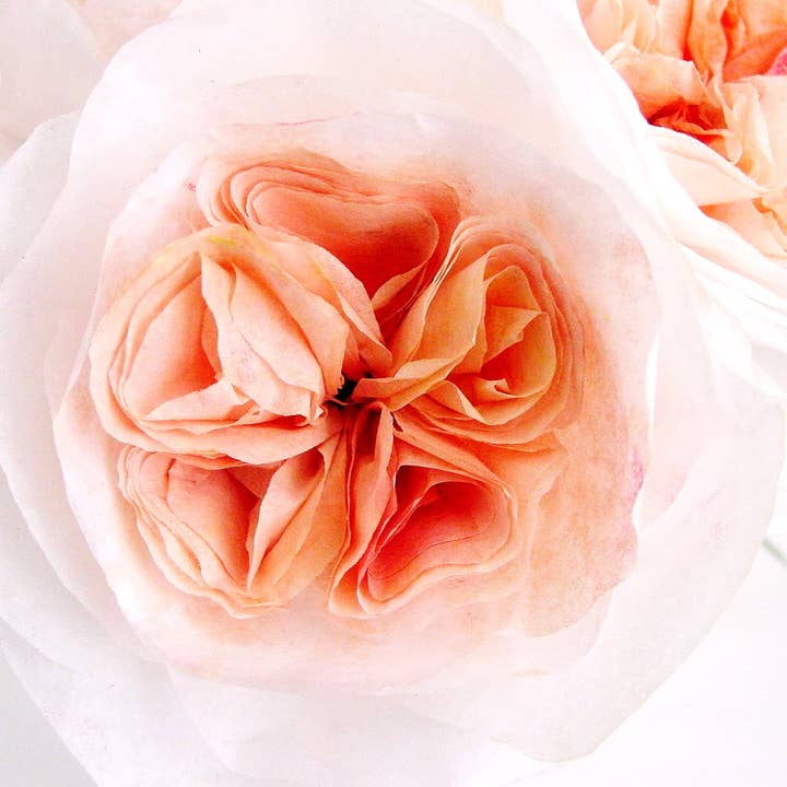 Beautiful Things By Bec - Wholesale Artificial Flowers - Paper David Austin Roses set of 10 Stems