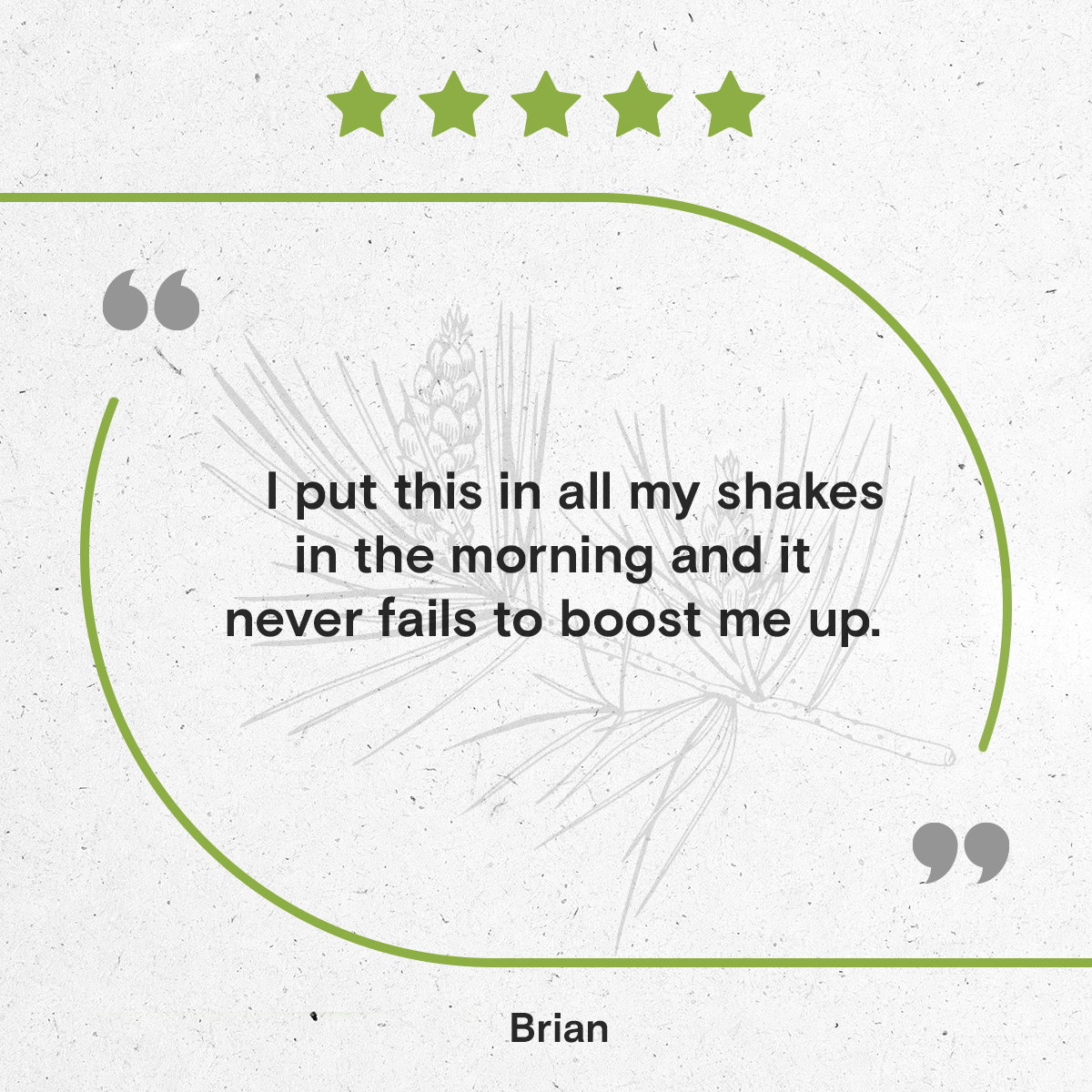 Secrets Of The Tribe - Wholesale Tinctuur - Tinctuur van dennenstuifmeel10