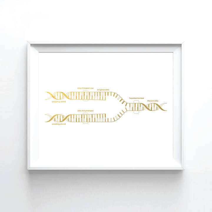 Impressão artística em folha de ouro de replicação de DNA por atacado de Uyeno Miyoshi