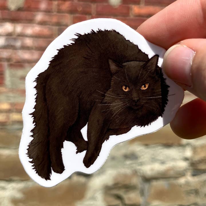 Fluffy Black Cat, Premium Vinyl Sticker for wholesale by Art Fimbel