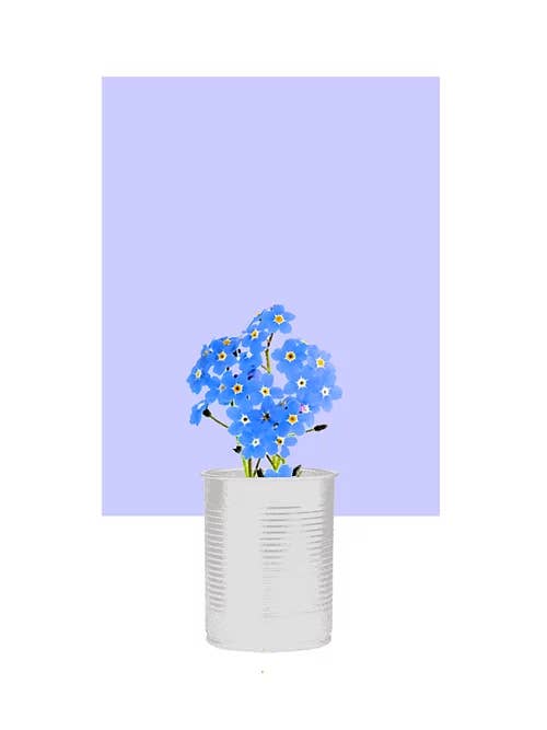 Forget Me Not (Vergissmeinnicht) für den Großhandel von Siobhan Harton Studio