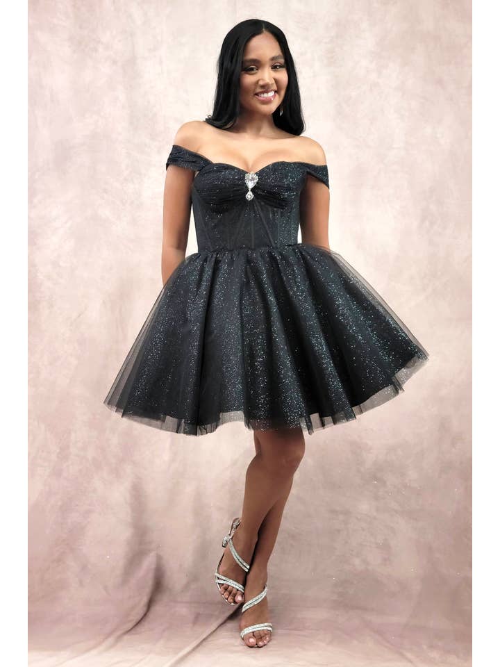 Chicas - Wholesale Dress - Women's - Short Off The Shoulder Tulle Dress With Brooch7