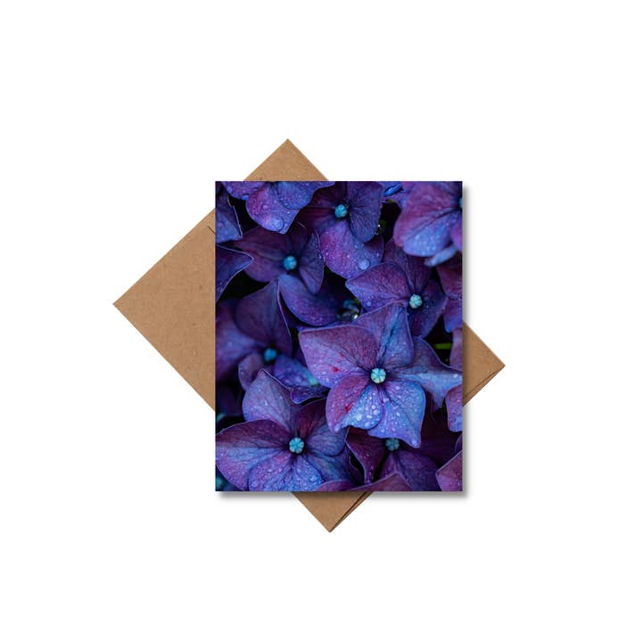 Andrea Morris Art - Wholesale Stationery/Notecard Set - Floral Card Variety Pack (5 Different Cards + Envelopes)6