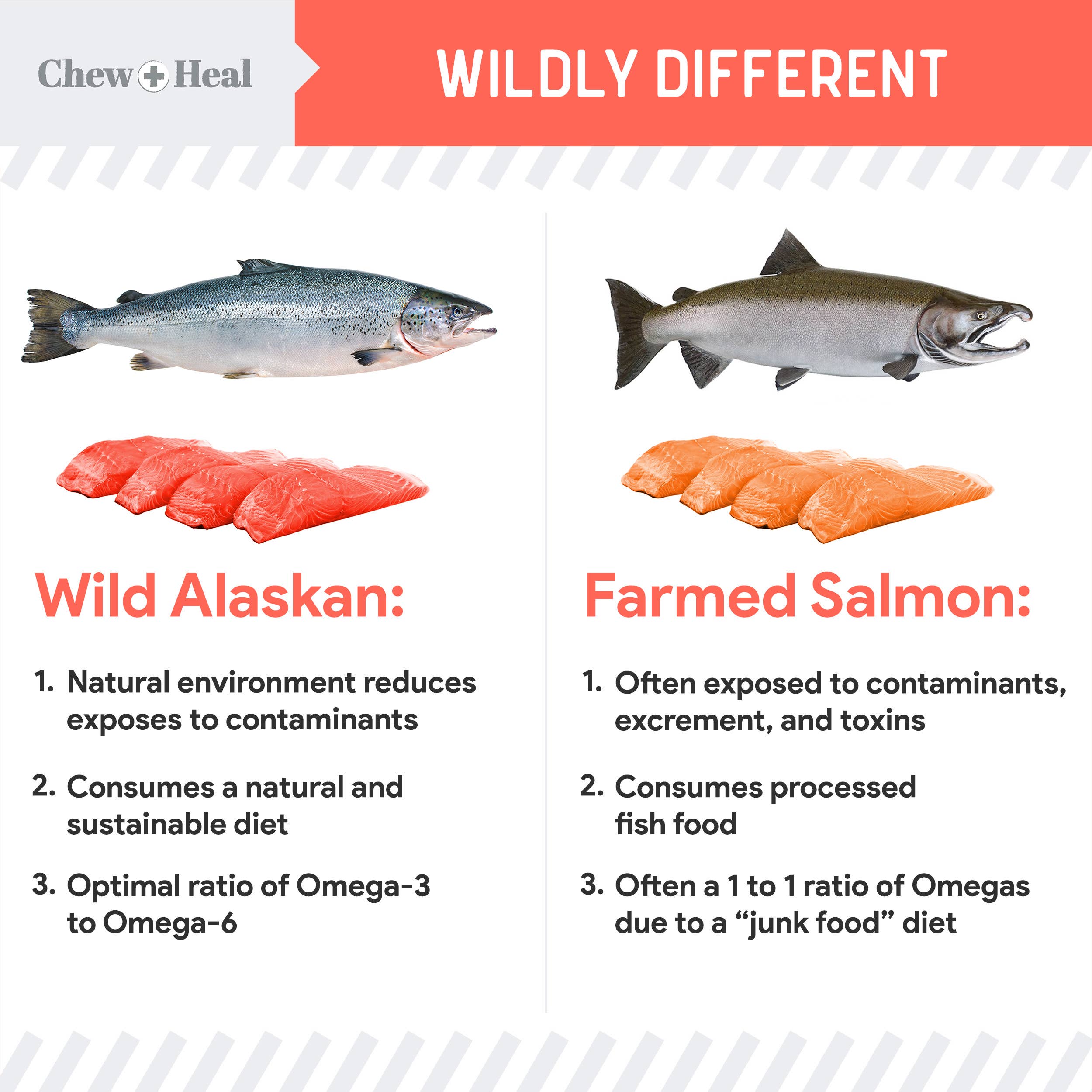 Chew + Heal - Wholesale Pet Supplement - Cat/Dog - MSC-Certified Sustainable Pure Wild Alaskan Salmon Oil4