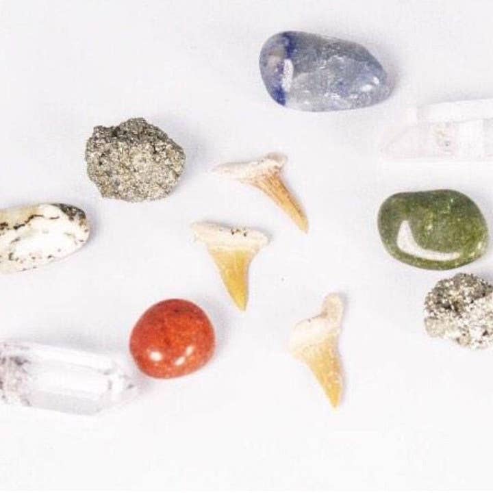 North Ave Candles - Wholesale Jar/Filled Candle - The Excavation Candle / dinosaur candle / Museum Gift Shop3