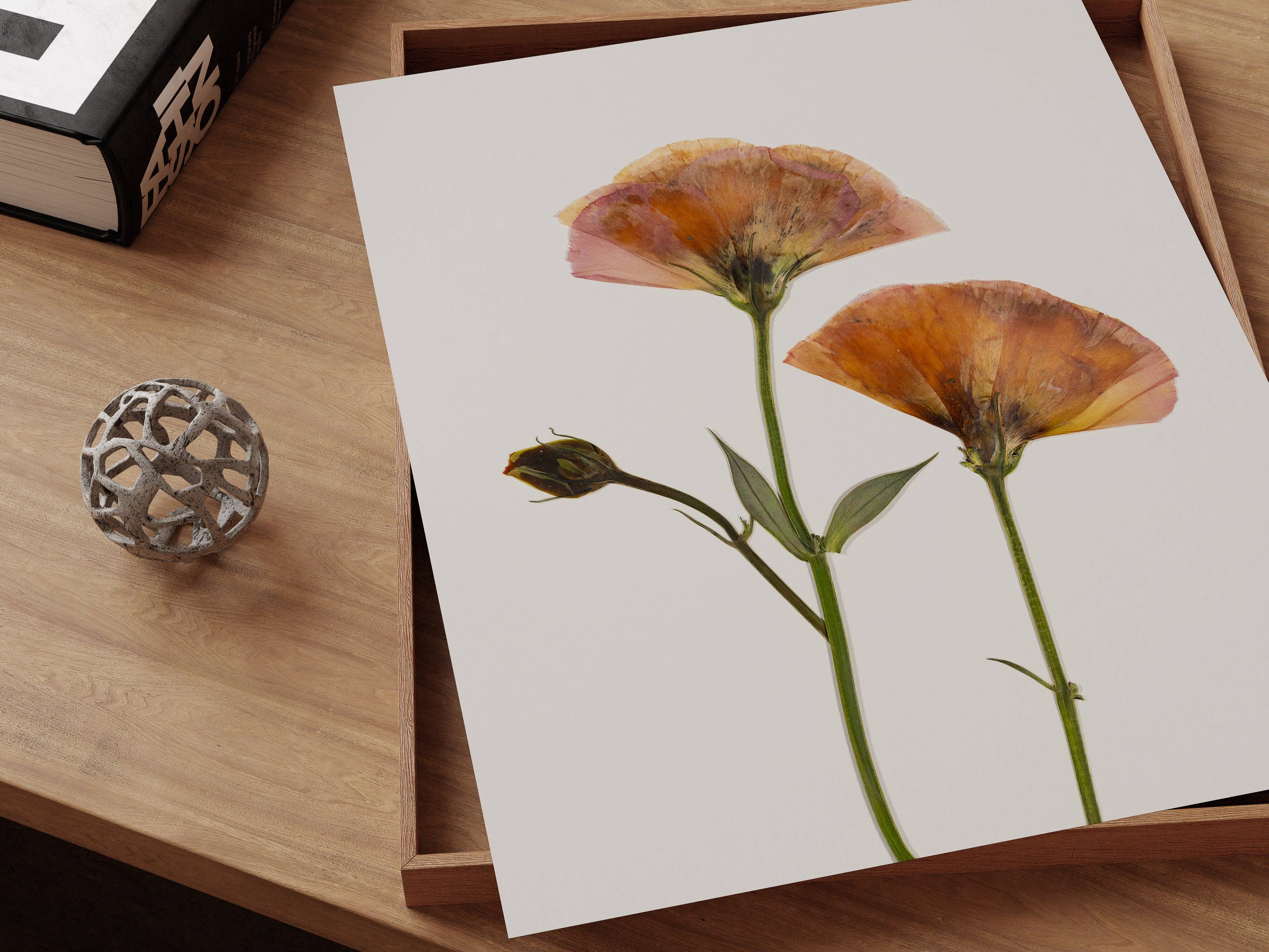 Hope Steinle Pressed Flower Art - Wholesale Art Print - Pressed Flower Fine Art Print - "Blush & Bloom"4