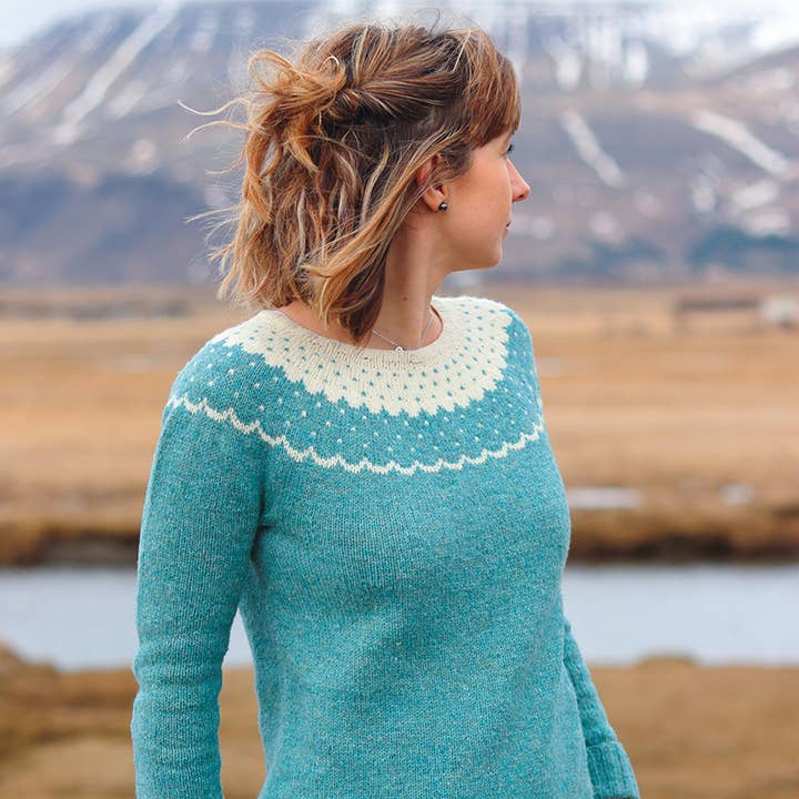 Search Press – wholesale Crafts, hobbies and DIY – Colourwork in the Round3