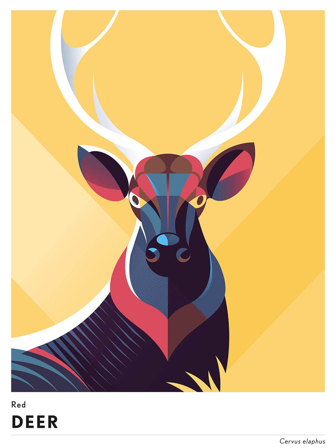 BLUE SHAKER – Engroshandel Kunsttryk – Mark Harrison - Dyr Hjort0