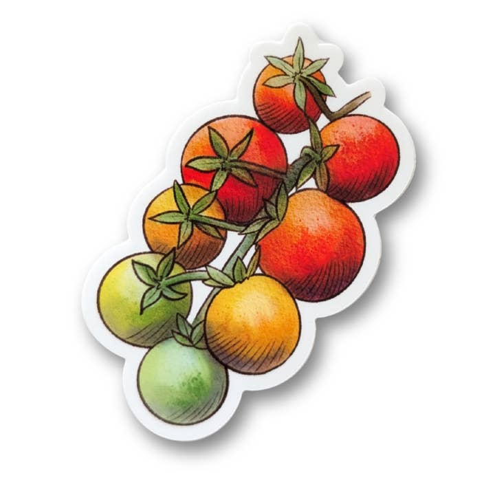 Salt & Paper - Wholesale Sticker - Tomatoes on the Vine Vinyl Sticker