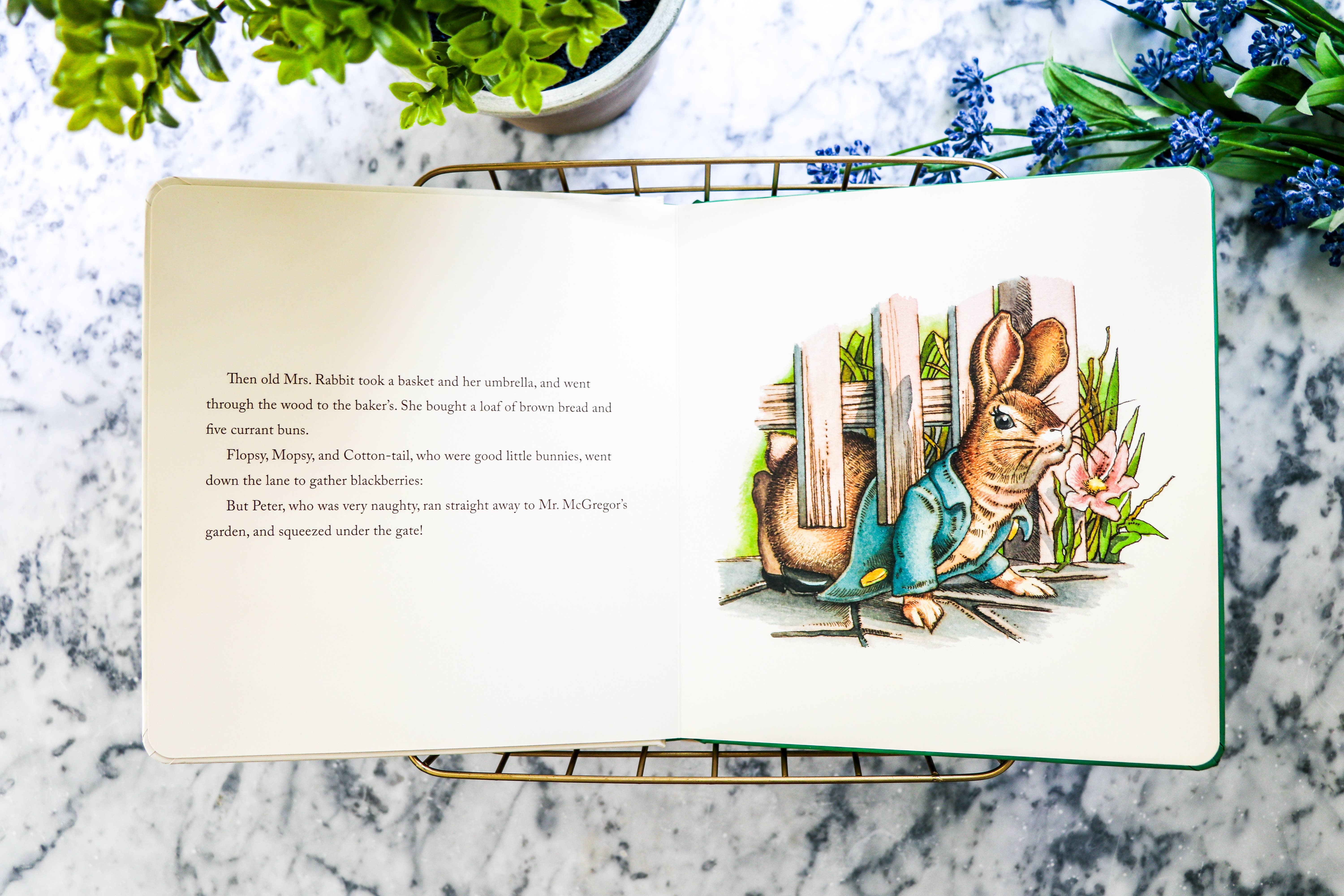 HarperCollins Focus - Wholesale Baby & Toddler Book (0-2) - The Peter Rabbit Oversized Board Book6