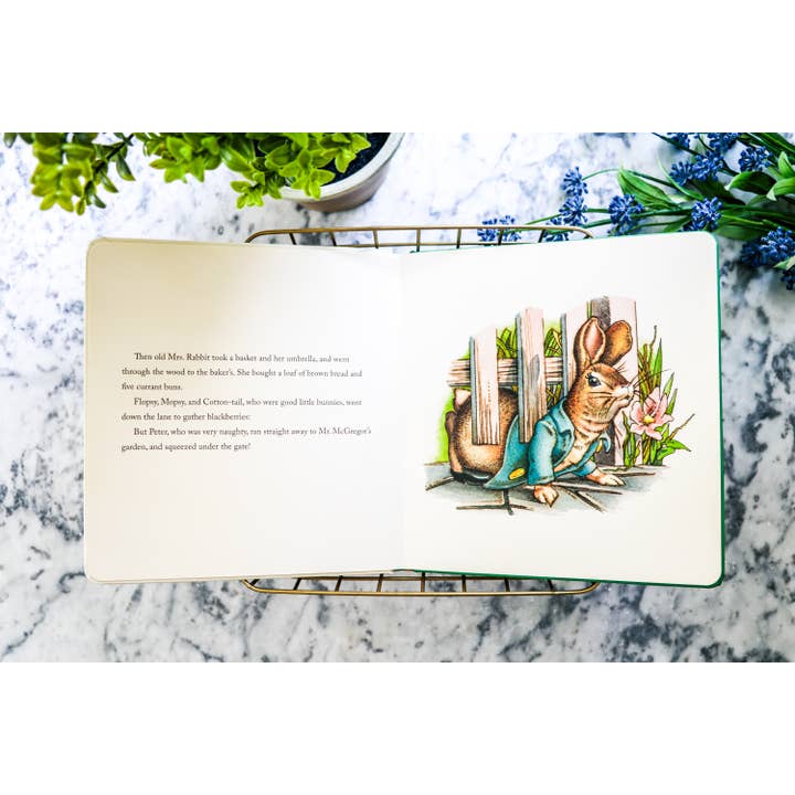 HarperCollins Focus - Wholesale Baby & Toddler Book (0-2) - The Peter Rabbit Oversized Board Book6