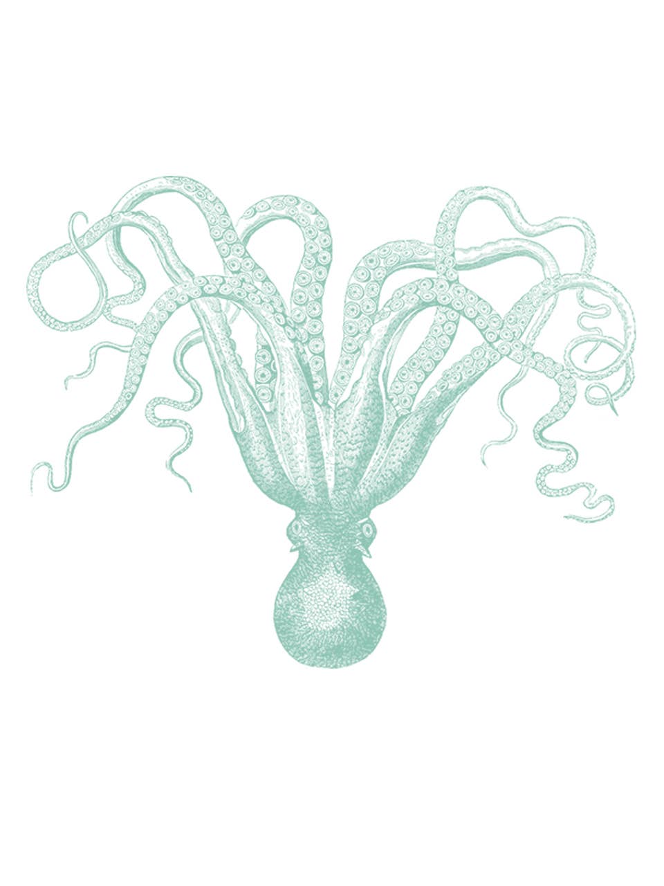 Supermaggie @ Faire - Wholesale T-Shirt (Graphic) - Women's - Octopus Maisie Heavyweight Muscle Tee6