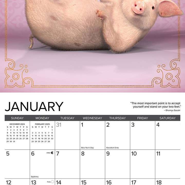 Willow Creek Press & Gifts - Wholesale Calendar - Pig Pilates 2025 Wall Calendar