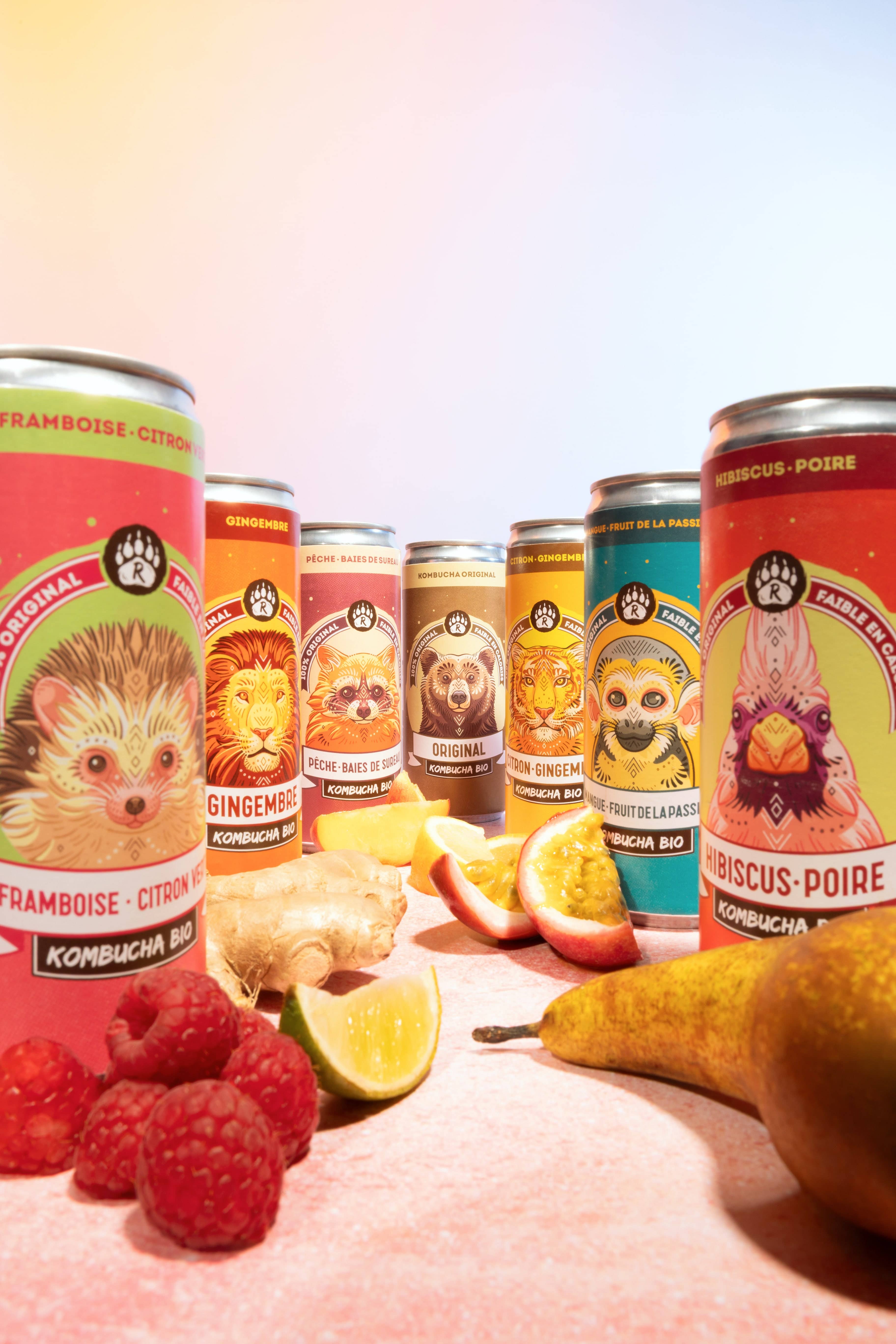 BIO BRASSEURS - Vendita all'ingrosso Kombucha - R-KOMBUCHA - Mango e frutto della passione - Lattina da 33 cl4