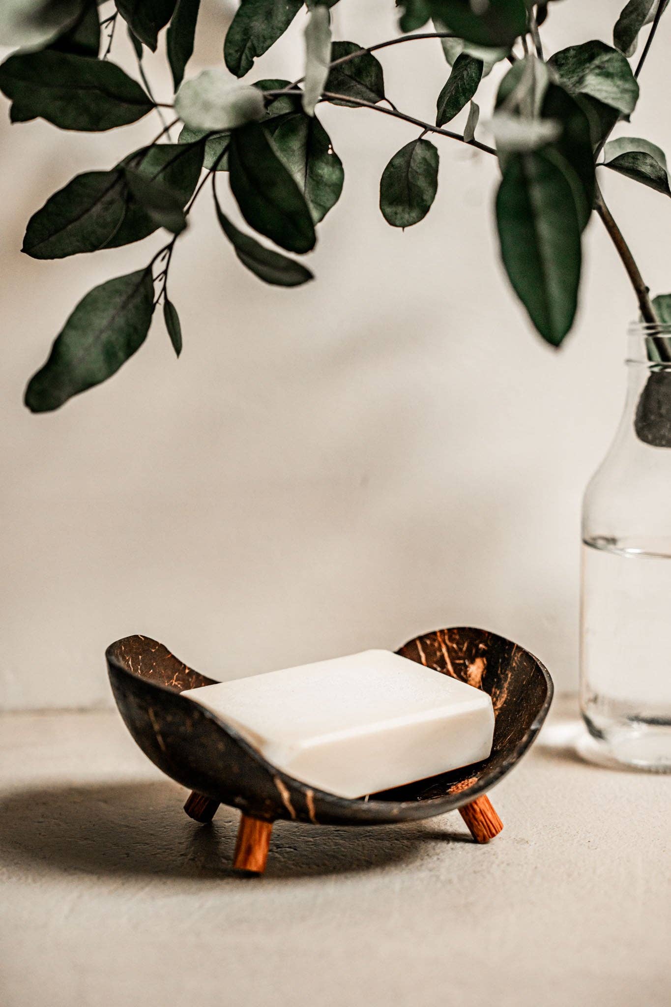 Boavistacircular - Wholesale Bath Soap Dish - Coconut shell soap dish | Soap container1