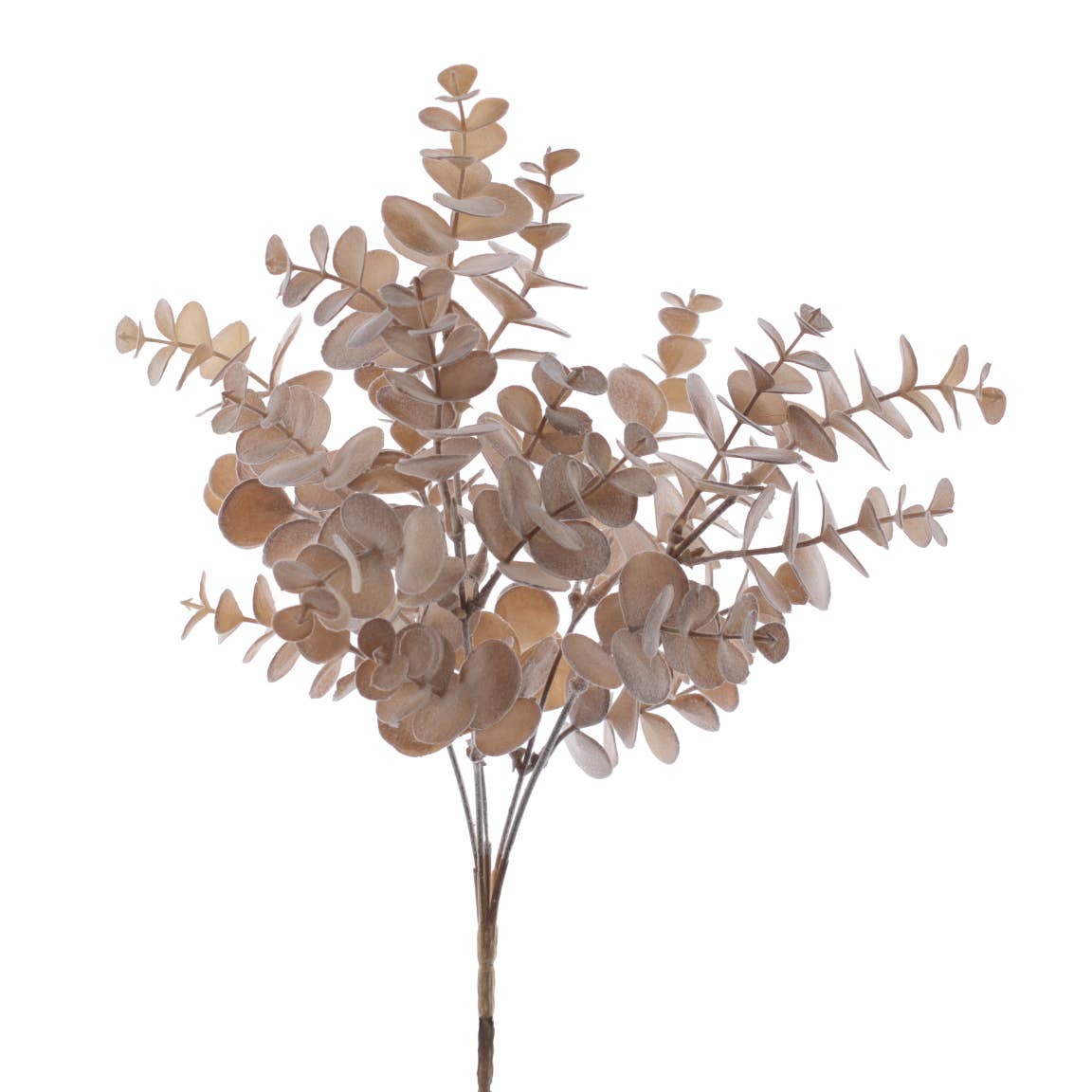 Concari.flores Preservadas - Vendita all'ingrosso Fiori finti - Eucalipto artificiale autunnale0