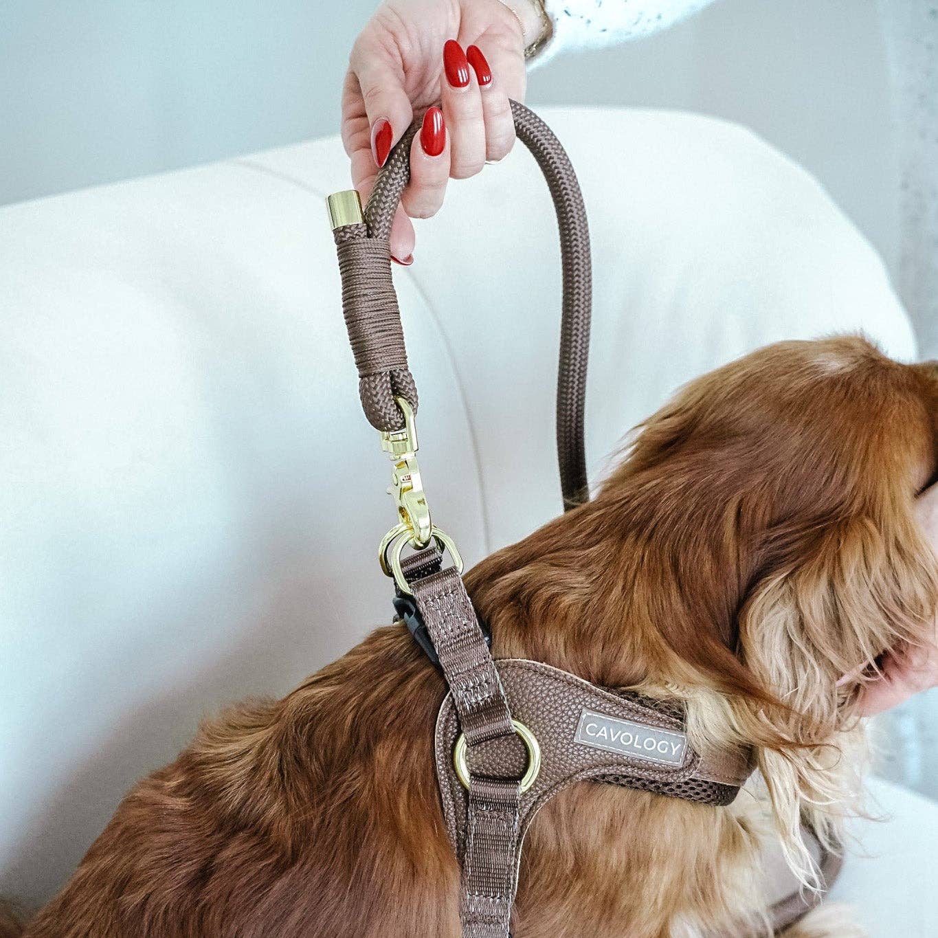 Cavology - Wholesale Pet Leash - Dog - BRAIDED ROPE LEASH - Chocolate Brown6