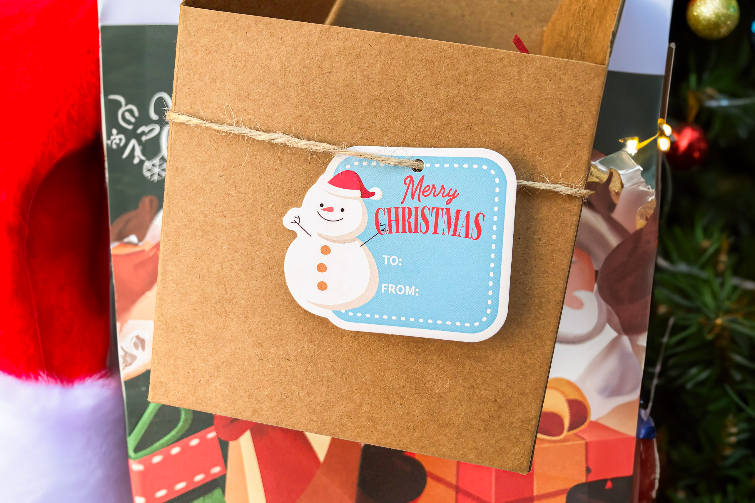 Plantish - Wholesale Gift Tag Label - Frosty Blue Christmas Tag, Sticker | Christmas Card & Label13
