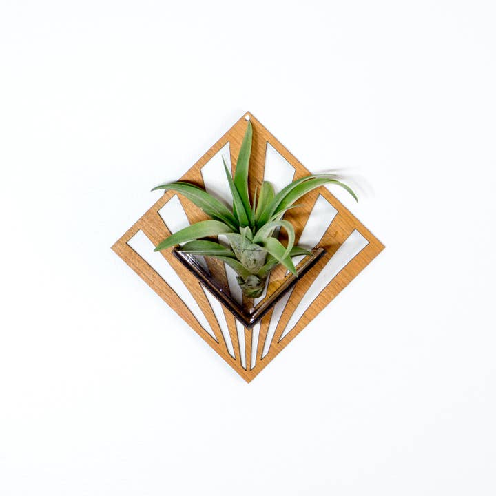 LIGHT RAZOR DESIGN STUDIO - Wholesale Wall planter - Air Plant Holder / Quadrate Wall Hanging Planter 262