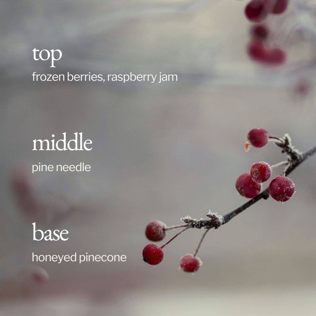 SOJA&CO.® - Wholesale Jar/Filled Candle - Soy Wax Candle | Frozen Berries + Pine3