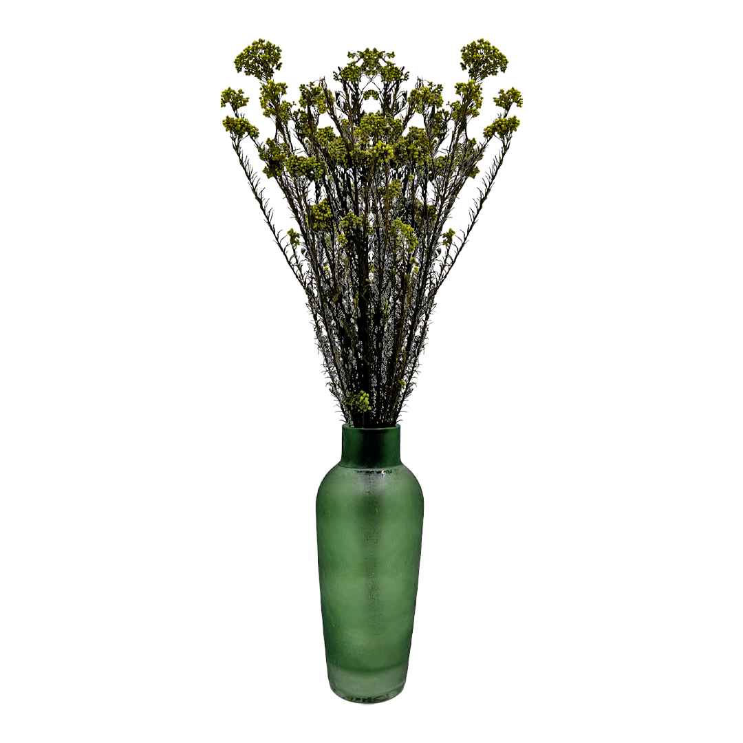 2626 Designs – Engroshandel Tørrede/pressede blomster – Konserveret hirse og risblomst - Immortelle og Ozothamnus blomster20