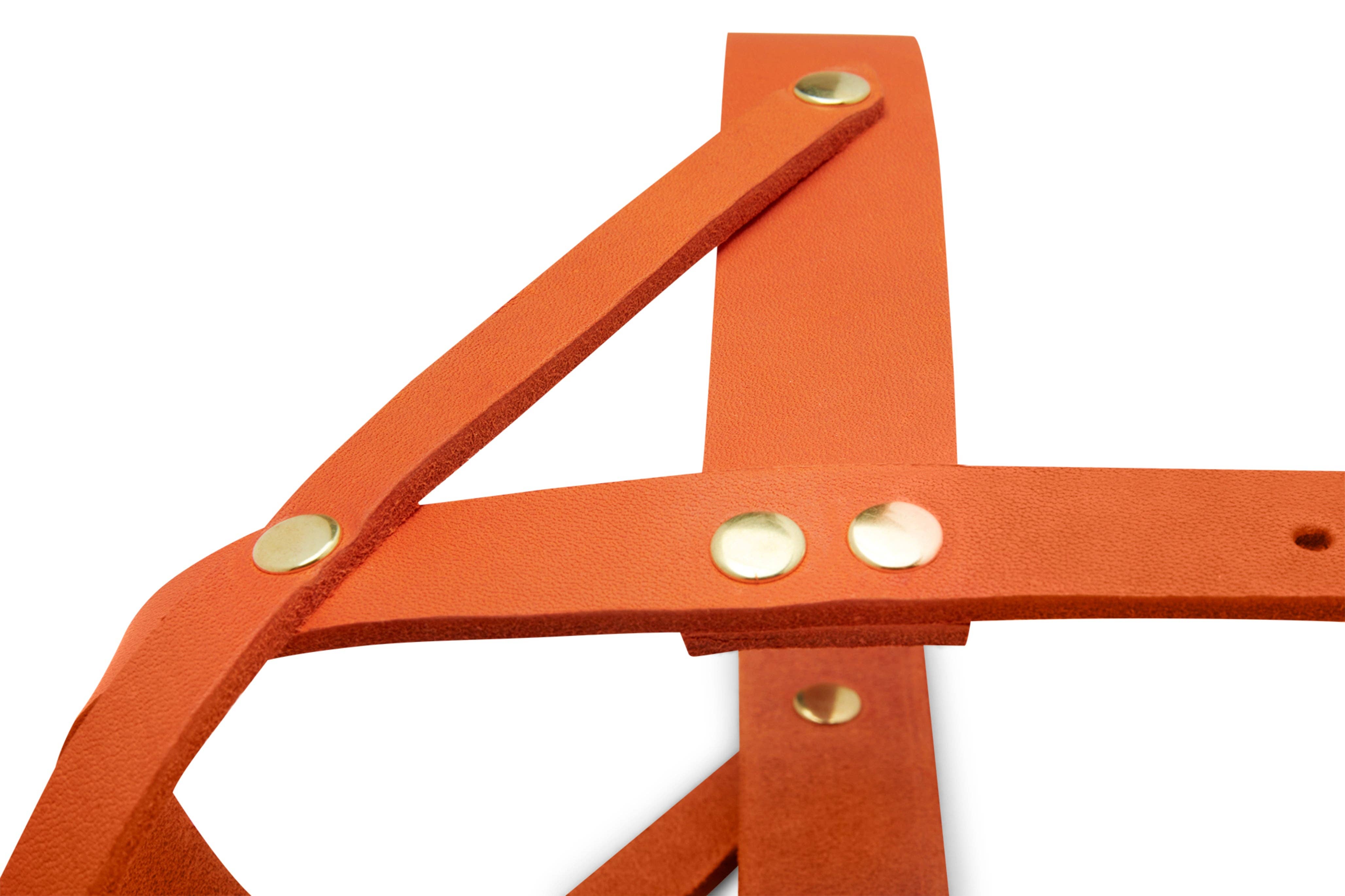 Molly and Stitch - Wholesale Pet Harness - Dog - Butter Leather Dog Harness - Mango4