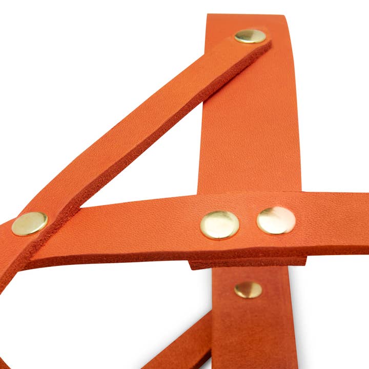 Molly and Stitch - Wholesale Pet Harness - Dog - Butter Leather Dog Harness - Mango4