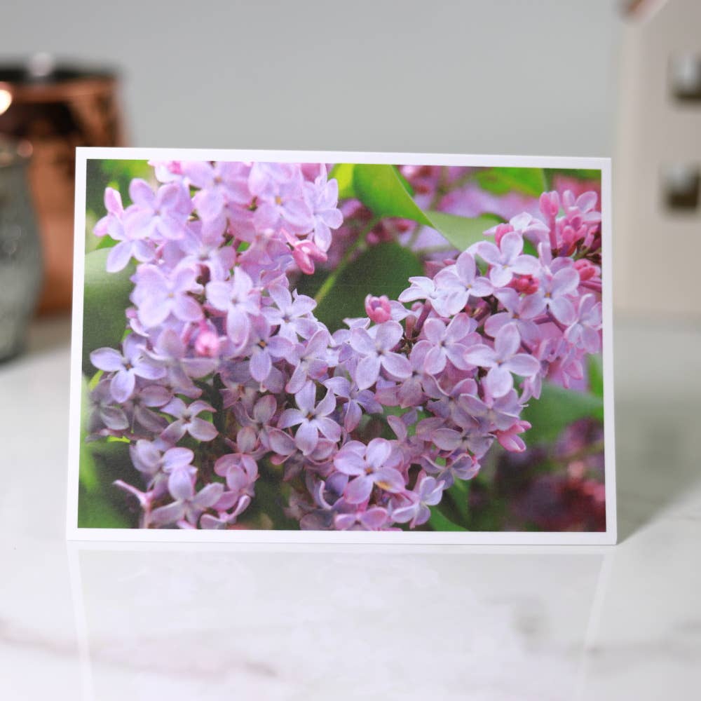 New England Prints - Wholesale Stationery/Notecard Set - Box of 5 All Occasion Spring Blossom Blank Note Cards8