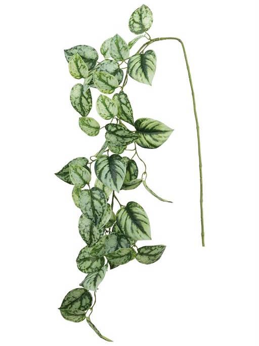 Vigne de Satin Pothos 50" Verte pour la vente par Select Artificials, Inc.
