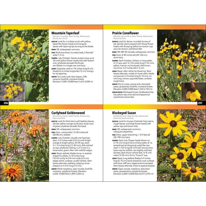 AdventureKEEN - Wholesale Nature & Outdoors - Rocky Mountain Plant Guide4