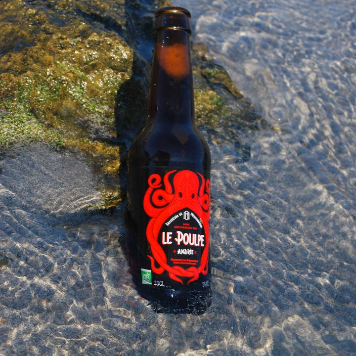 Le Poulpe Biere de Provence - Wholesale Beer - The Amber Octopus 33cl2