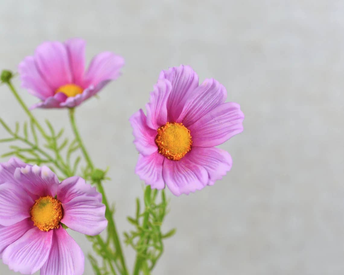 Angel Isabella - Vente Fleurs artificielles - Fleurs de cosmos réalistes de 20" - couleurs vives et réalistes3